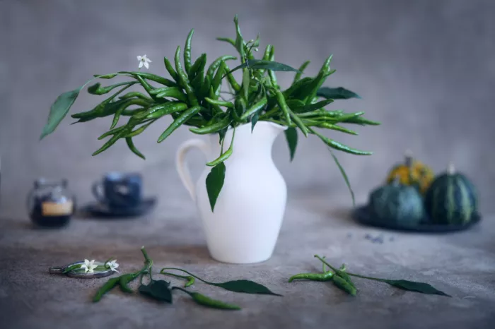 Hirai, Takiko: chili peppers