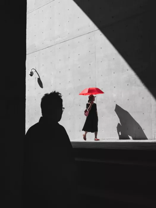 Z, Leechee: Entre luz y sombra