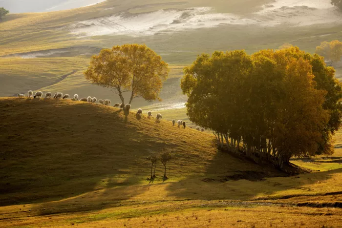 Widjaja, Sally: Paesaggio nella Mongolia Interna