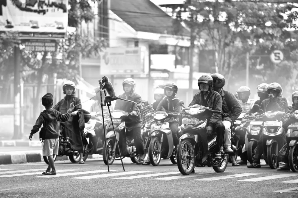 Sulistiawan, Hari: Animatori di strada