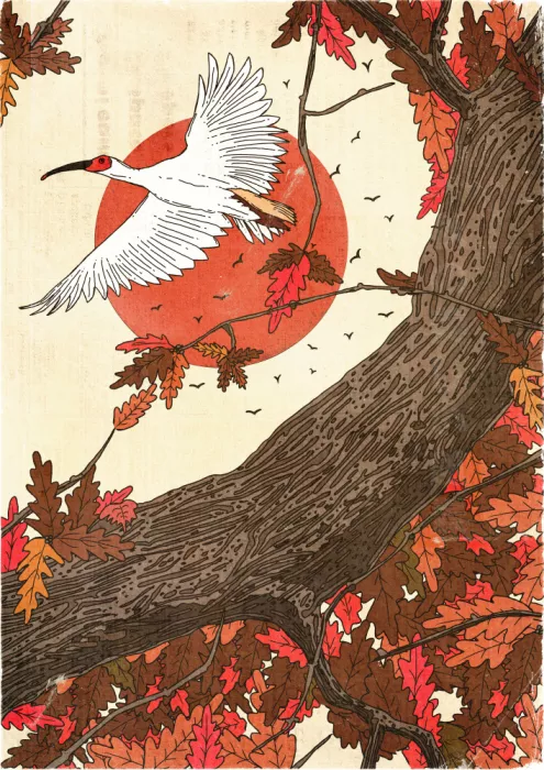 Nicholas: The Beautiful Landscape In Fall