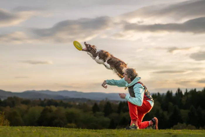 Šimic, Joško: A yellow frisbee