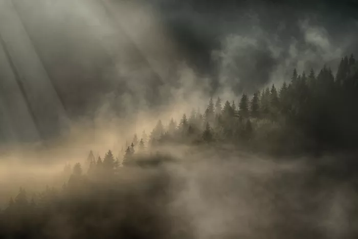 Negoita, Bogdan: Una mattina nebbiosa