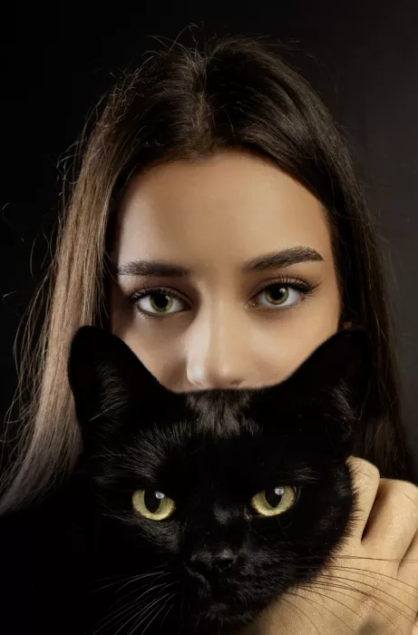 Pop, D. Ovi: Black cat
