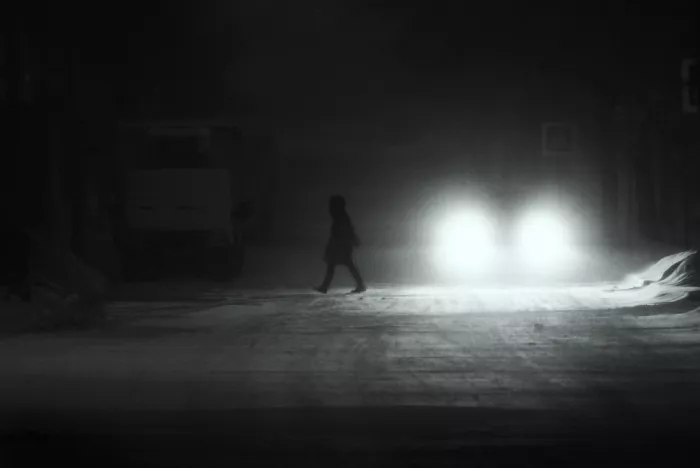 Makunin, Maxim: La foschia