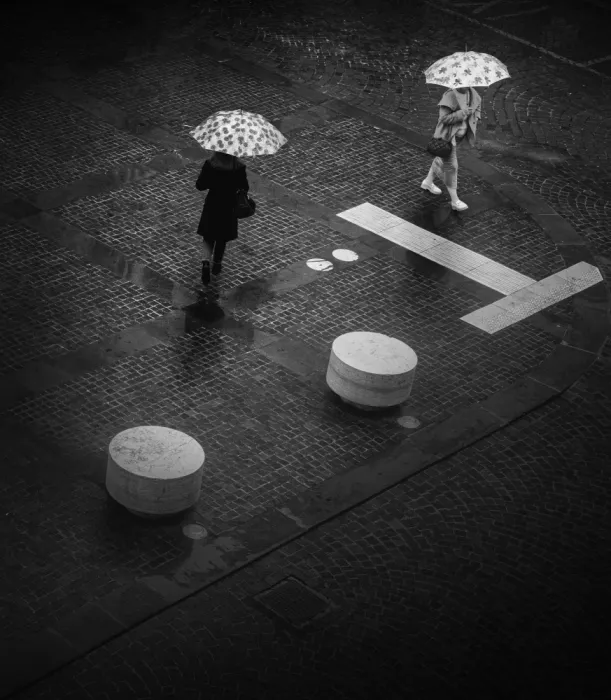 Pessotto, Tommaso: Kreise im Regen #1