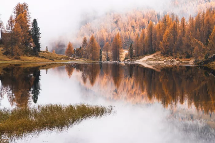 Selagea, Andreea: Autunno