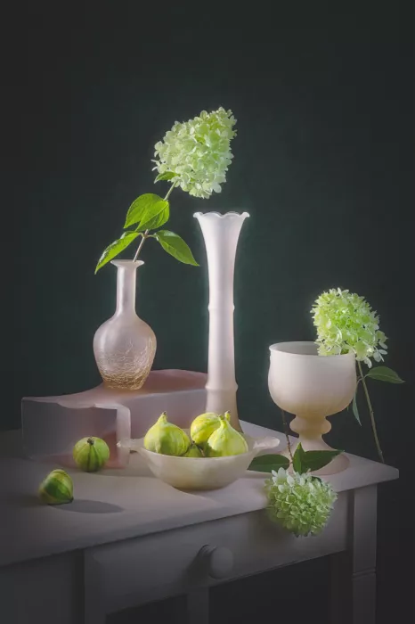 Jacobs, Lydia: Fichi e ortensie