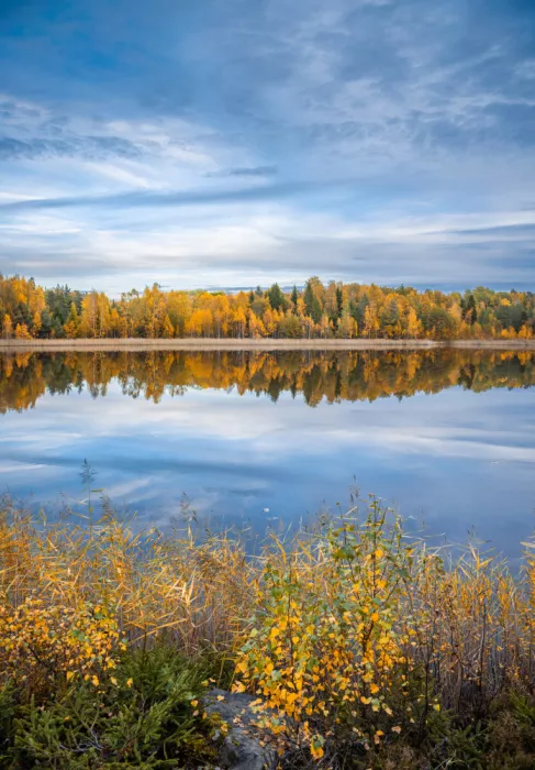 Lindsten, Christian: Ruhiger Herbstsee v2