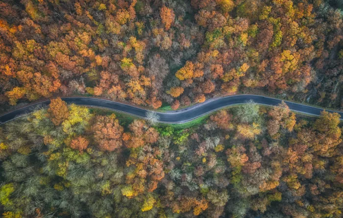 Krier, Guy: Strada autunnale