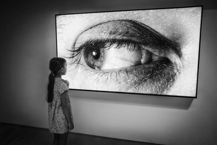 Groleau, Michel: Reconocimiento ocular