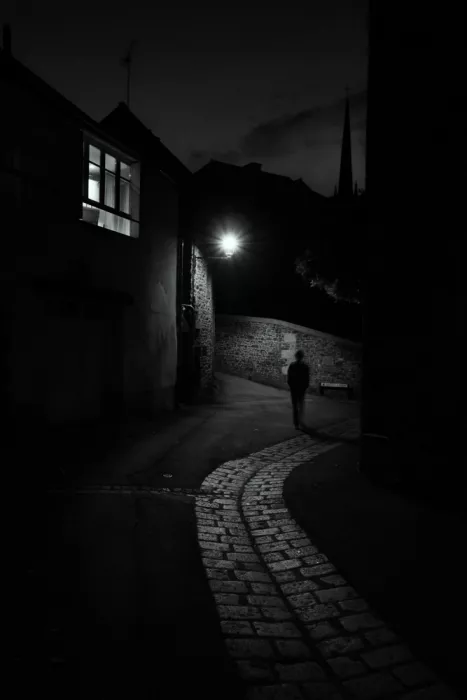 Makunin, Maxim: Passante di mezzanotte