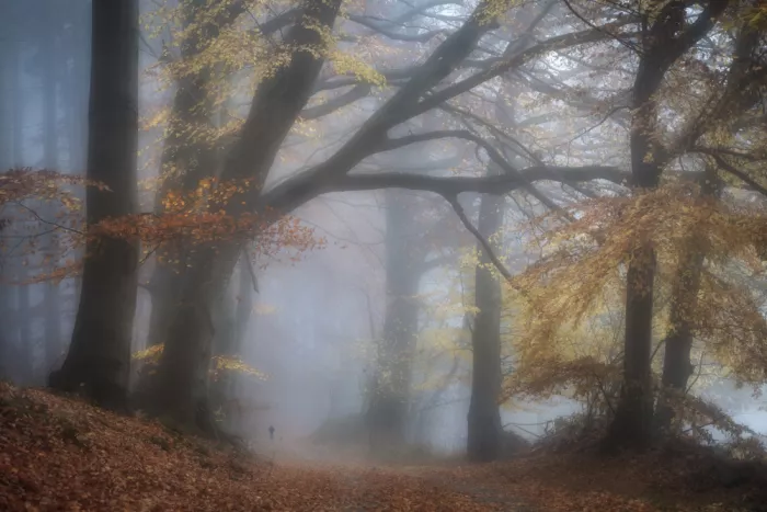 fotomarion: Podzim