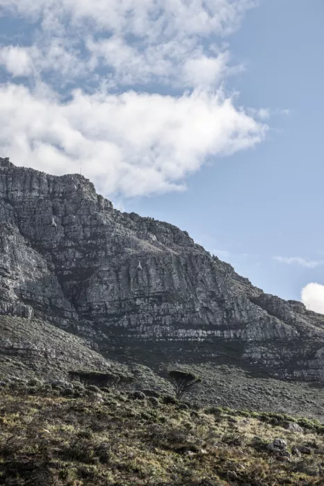 Clint, by Shot: Tafelberg