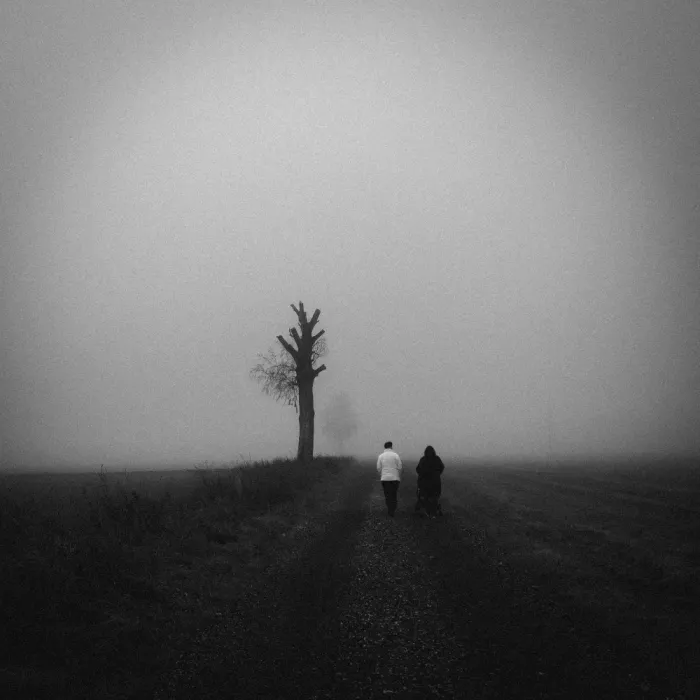 Wasinger, Renate: Insieme nella nebbia