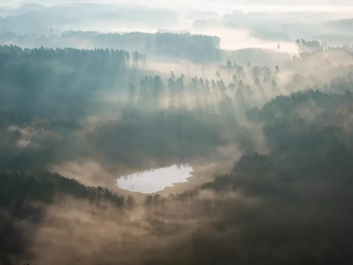 Paradowski, Leszek: Kumki