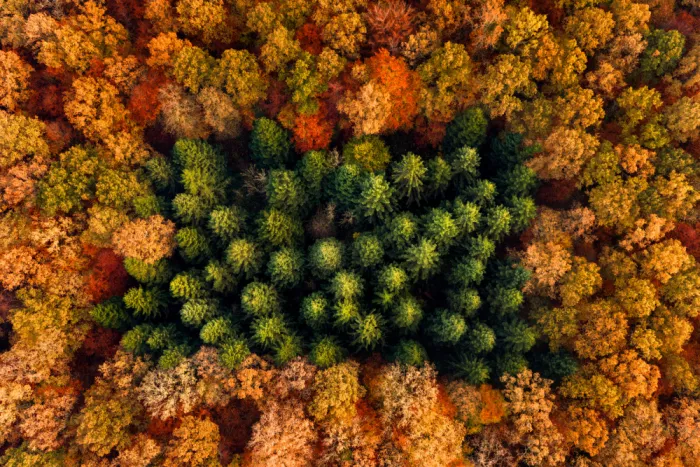Keller: In Herbst gehüllt