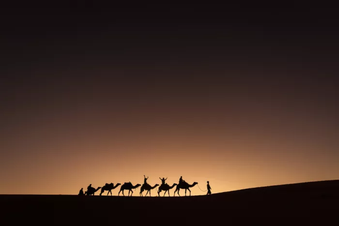 Mirica, Dan: Deserto del Sahara