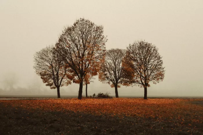 Wasinger, Renate: Tempo di lasciar andare