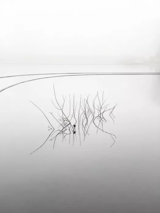 PEJ, By: Deštná jezera 01