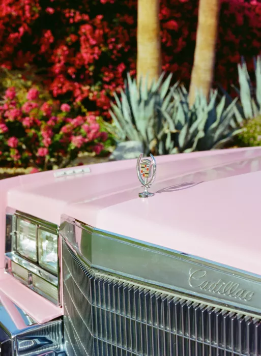 Young, Bethany: Palm Springs Ride III