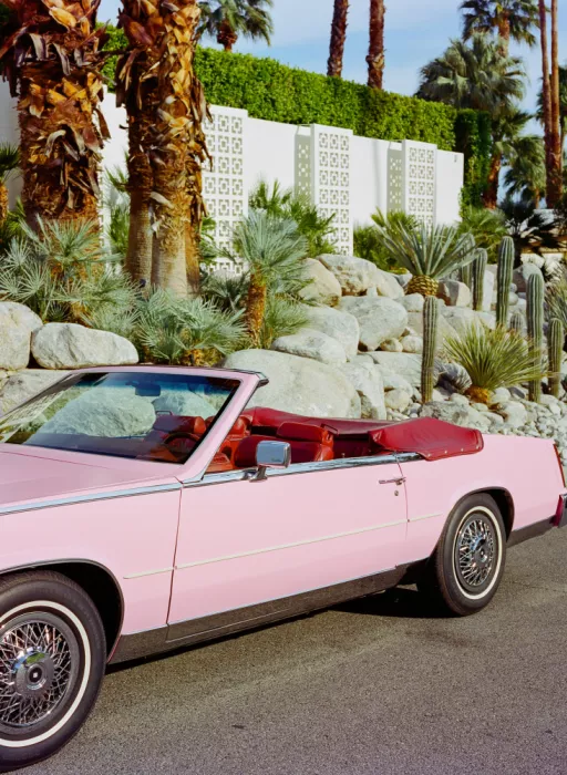 Young, Bethany: Palm Springs Ride II