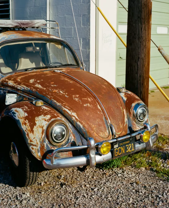 Young, Bethany: California Bug