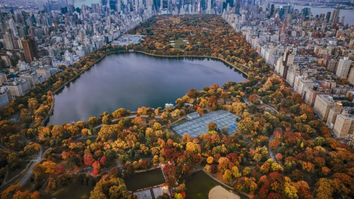 Dai, (David) Wei: Autunno urbano