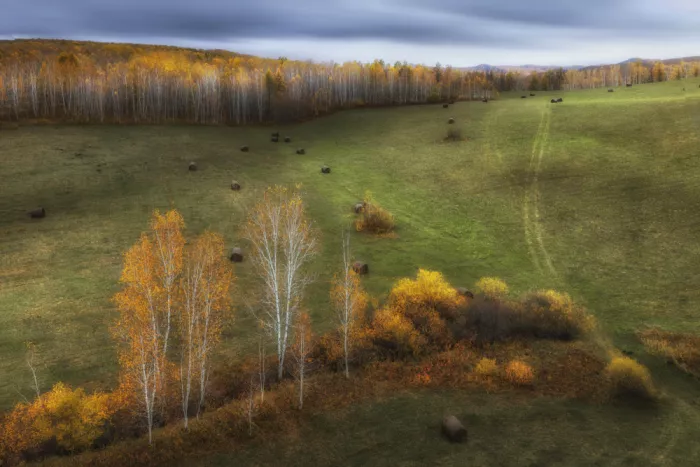 UU: Colori autunnali di Hulunbuir