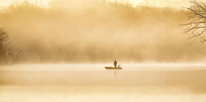 meix: Una mattina dorata