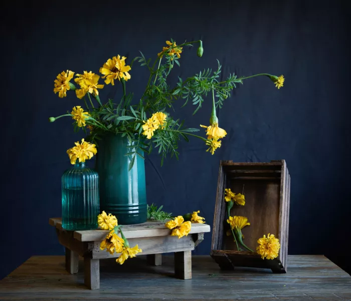 Zhou, Fangping: Tanzende Ringelblumen