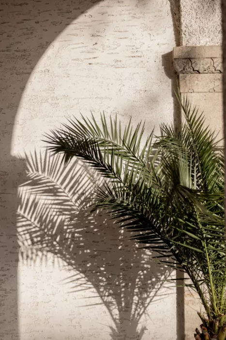 Böhmer, Mareike: Luce Arcuata 2