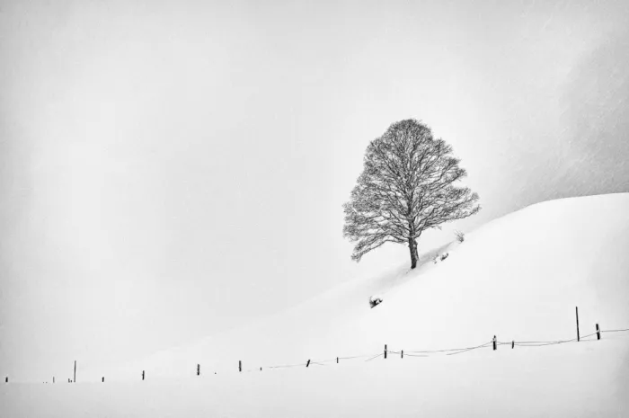 Jansen, Arne: Solitudine sul pendio