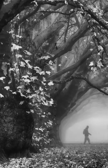 Niemiec, Anna: Autumn inspirations