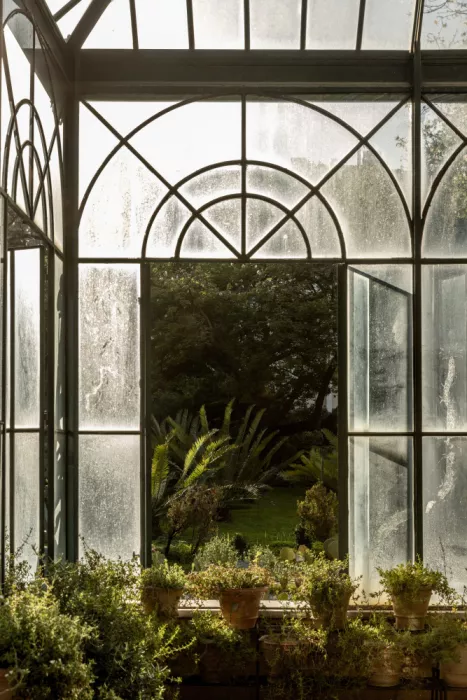 Böhmer, Mareike: Orto botanico 2