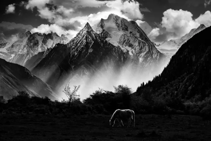 天馬, Feng Chao: Ein Traum der Berge