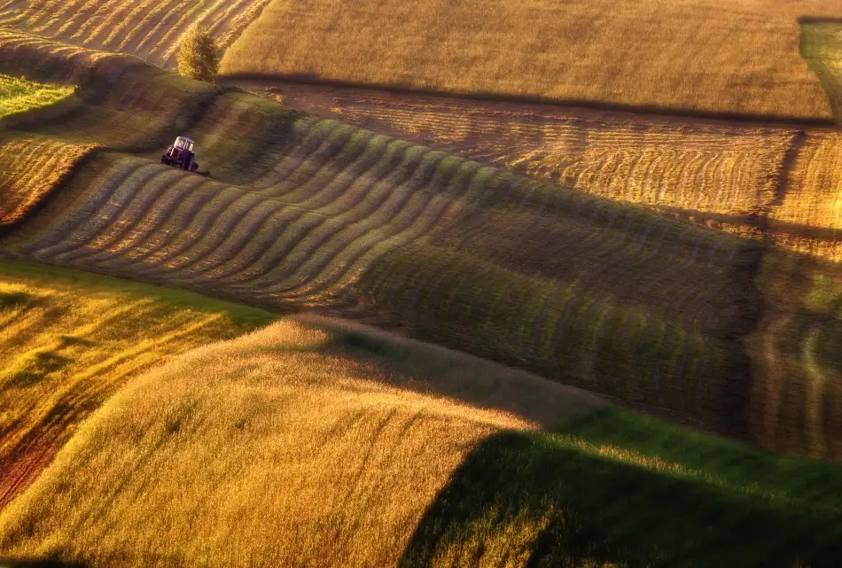Kruk, Przemyslaw: Traktor