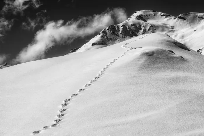 Hermann, Uschi: Sentiero nella neve