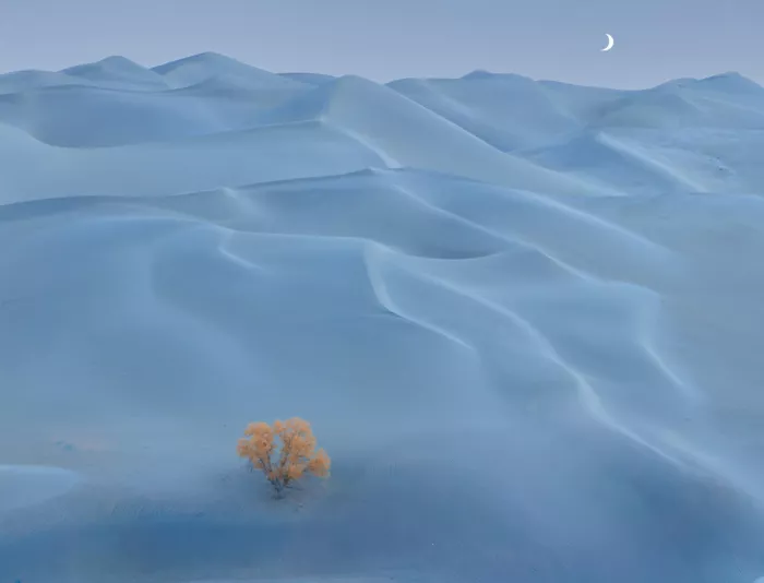 Zhang, Dennis: Quiete al chiaro di luna