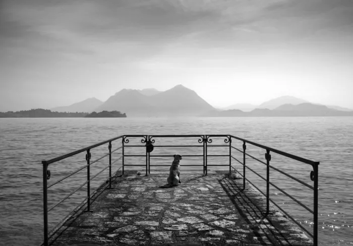 Toniolo, Giorgio: Ohne Titel
