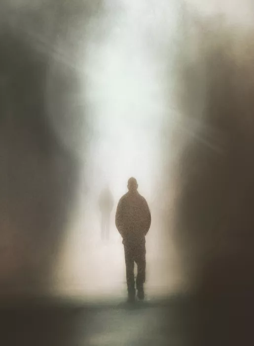 Eisele, Stefan: The walk