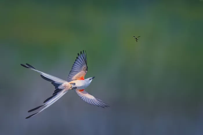 Zhao, Qing: Inseguimento in volo