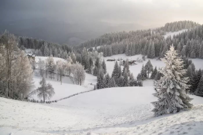 Selagea, Andreea: Paese delle meraviglie invernali