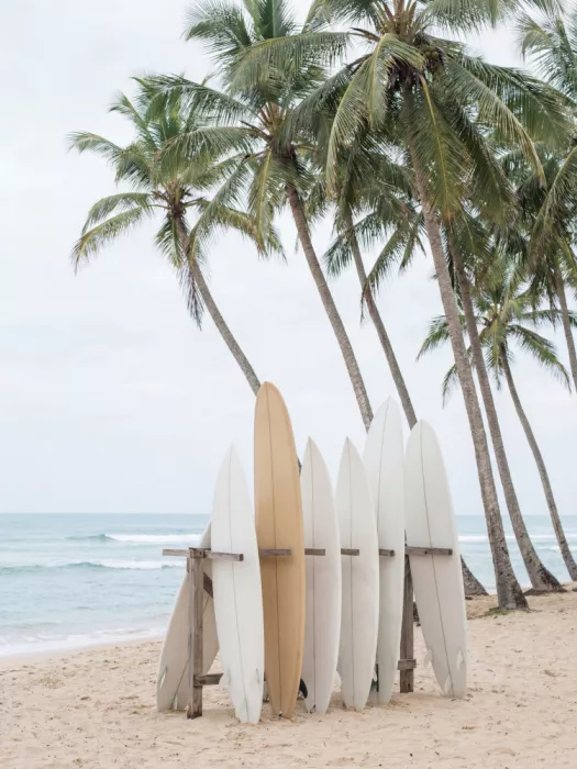 Magnusson, Andreas: Surfbretter am Strand