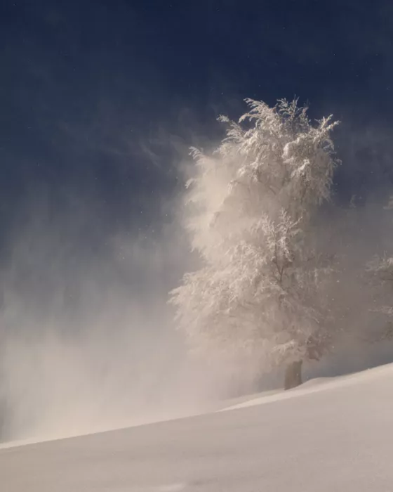 Ovidiu, Ioan Lazar: Der Blizzard