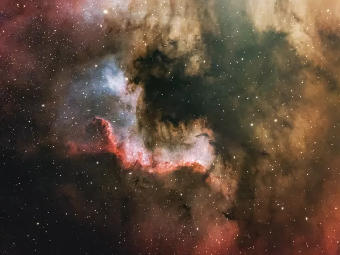 Kresal, Gregor: Cygnus wall