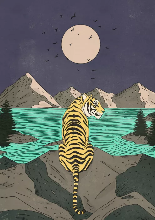 Nicholas: The Tiger in the Wilds