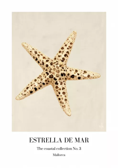 Takken, Merel: Étoile de mer