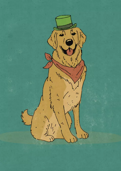 Nicholas: Dapper Dog