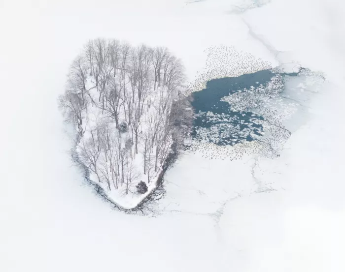 P., Ruiqing: Un bordo che respira 2